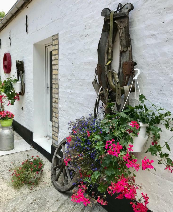 La Ferme Wessiere Guest House Oye-Plage Екстериор снимка